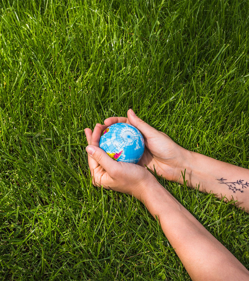 mstech-europe-snapcure-efficience